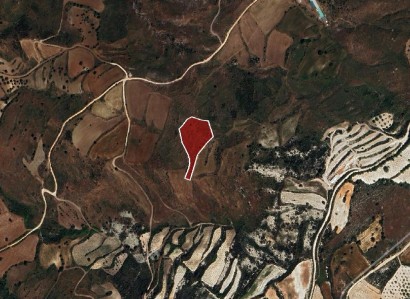 Ineia, Paphos Agricultural Field For Sale | WW29521