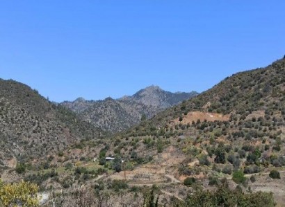 Arakapas, Limassol Agricultural Field For Sale | WW29559