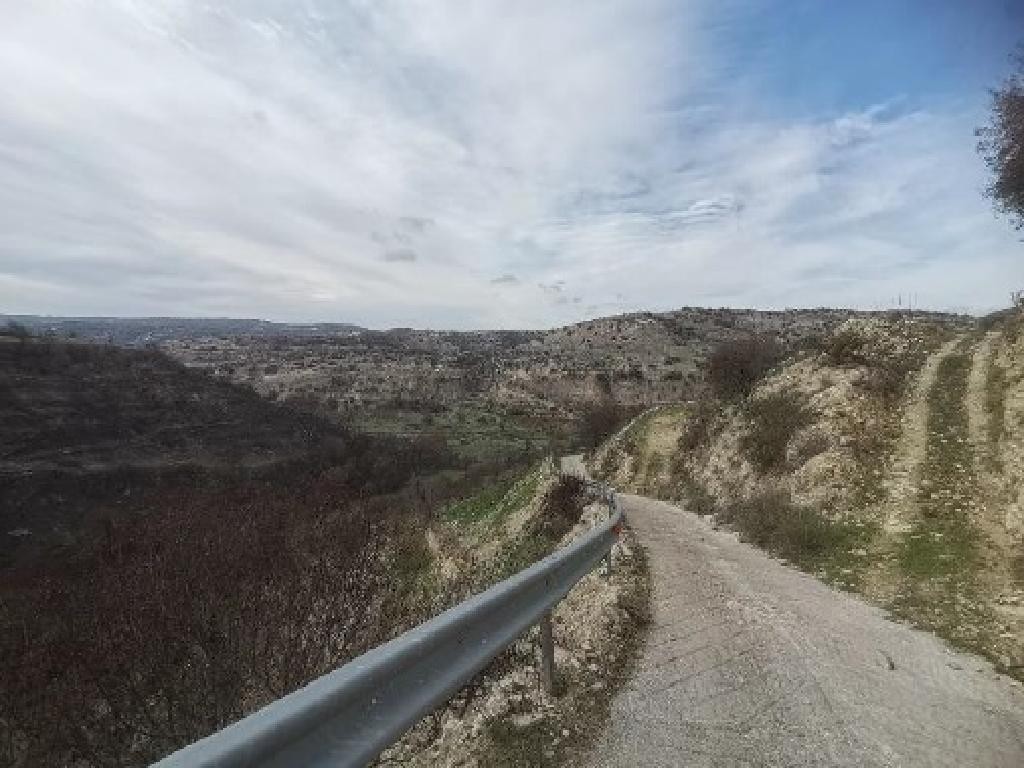 Choulou, Paphos Agricultural Field For Sale | WW29574