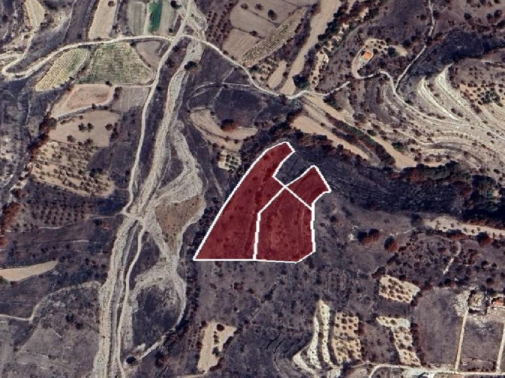 Field - Choulou, Paphos