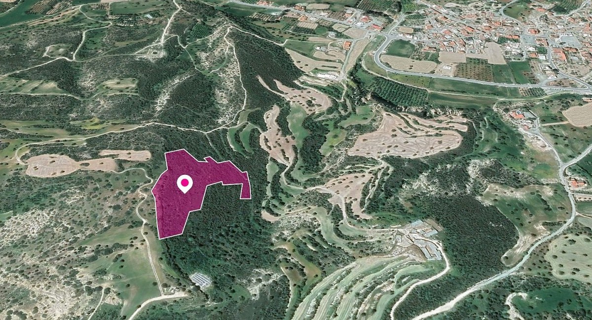 Ayios Theodoros Agricultural Field For Sale | WW29600