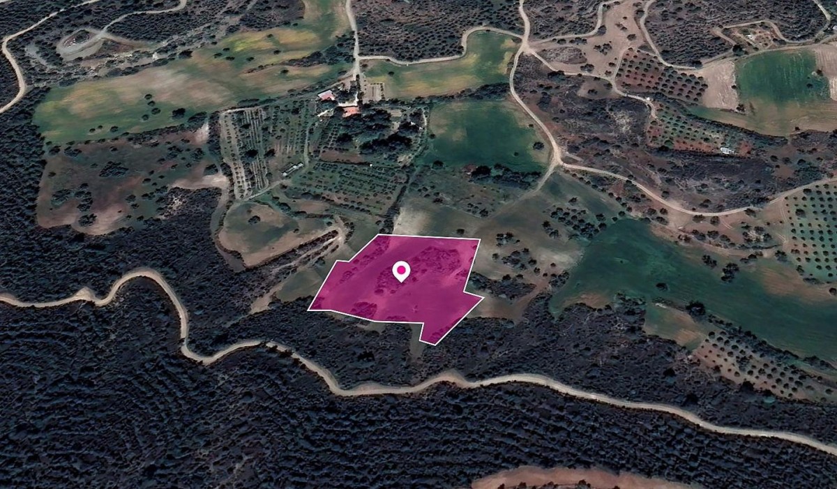 Kofinou, Larnaca Agricultural Field For Sale | WW29601