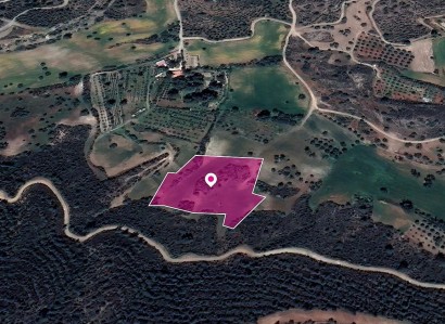 Kofinou, Larnaca Agricultural Field For Sale | WW29601