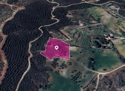 Kofinou, Larnaca Agricultural Field For Sale | WW29601