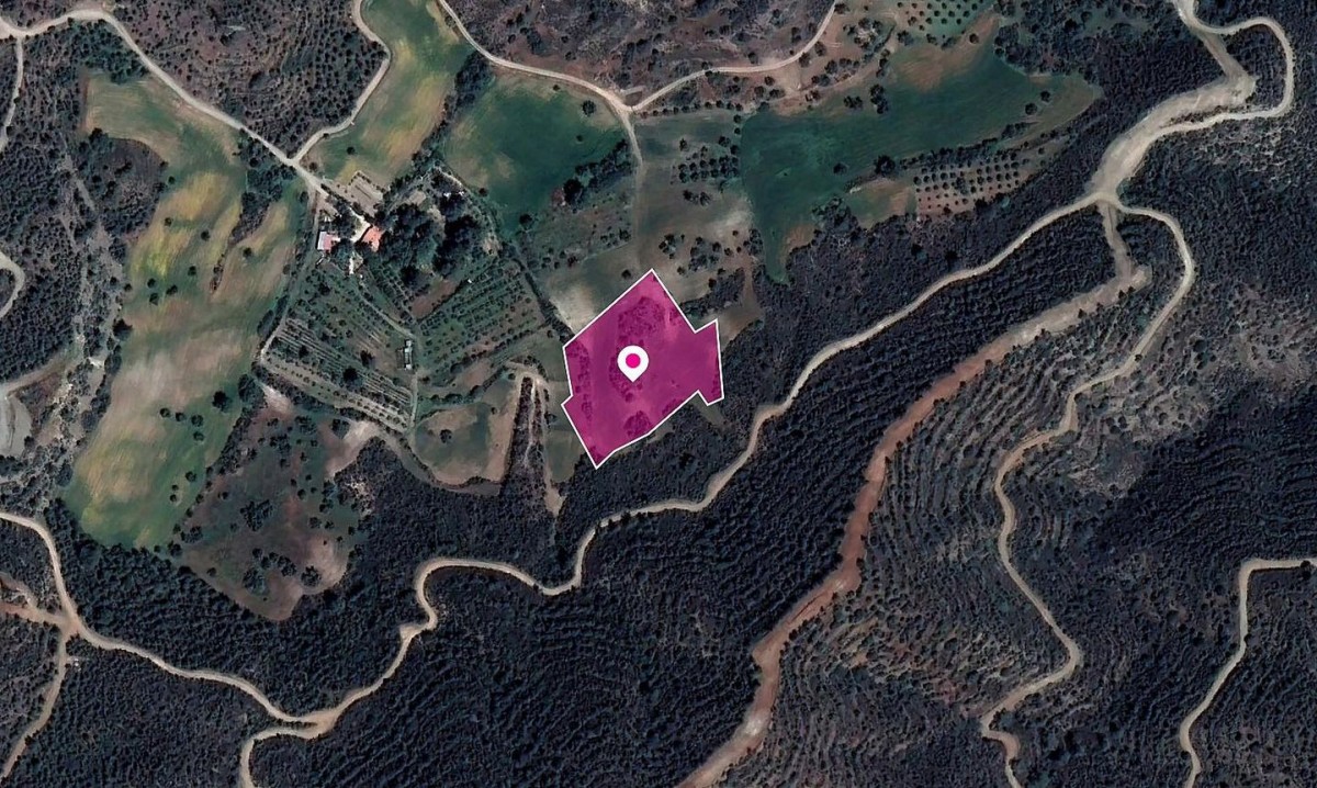 Field in Kofinou, Larnaka