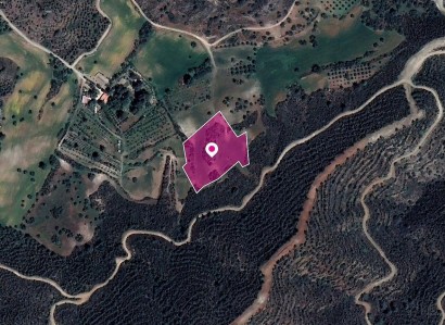 Kofinou, Larnaca Agricultural Field For Sale | WW29601