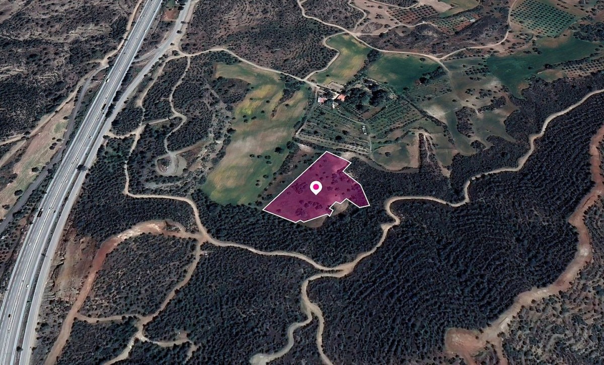 Kofinou, Larnaca Agricultural Field For Sale | WW29602
