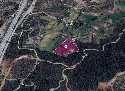 Kofinou, Larnaca Agricultural Field For Sale | WW29602