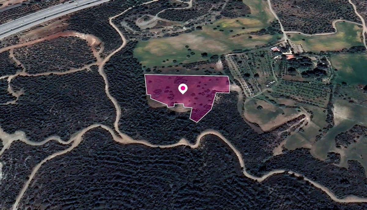 Agricultural Field, Kofinou