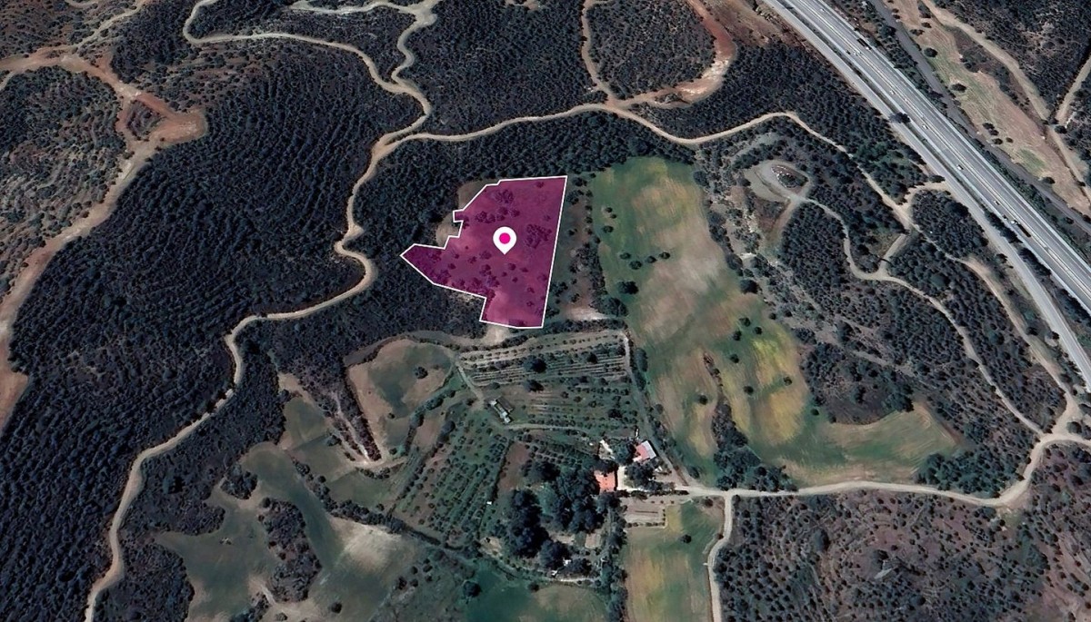 Agricultural Field, Kofinou