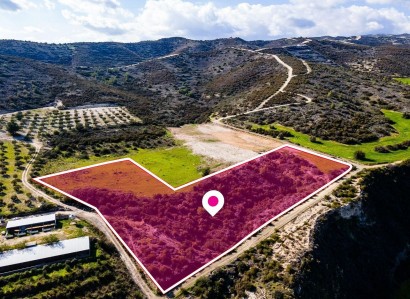 Skarinou, Larnaca Agricultural Field For Sale | WW29603