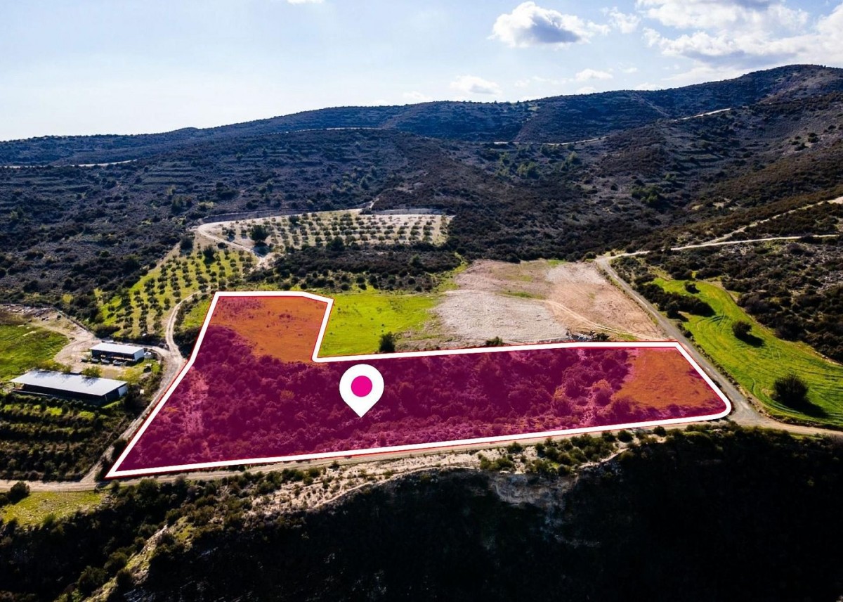 Two agricultural fields, Skarinou, Larnaca