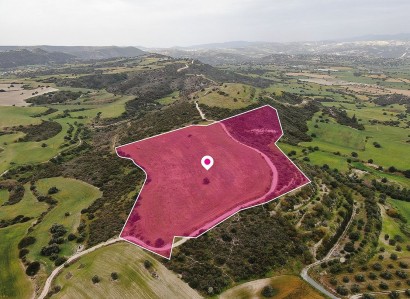 Alaminos, Larnaca Agricultural Field For Sale | WW29605