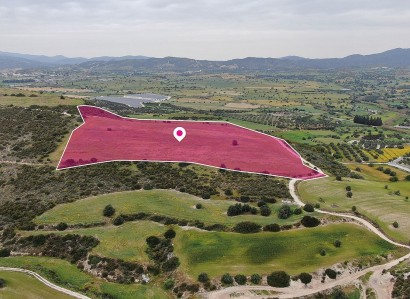 Alaminos, Larnaca Agricultural Field For Sale | WW29605