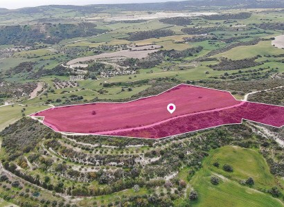 Alaminos, Larnaca Agricultural Field For Sale | WW29605