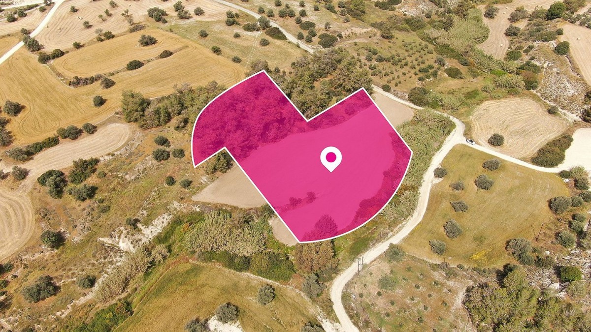 Field in Anglisides, Larnaca
