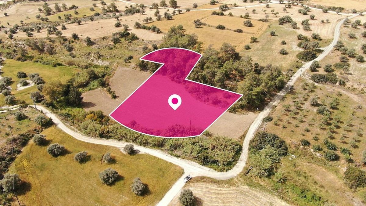 Field in Anglisides, Larnaca