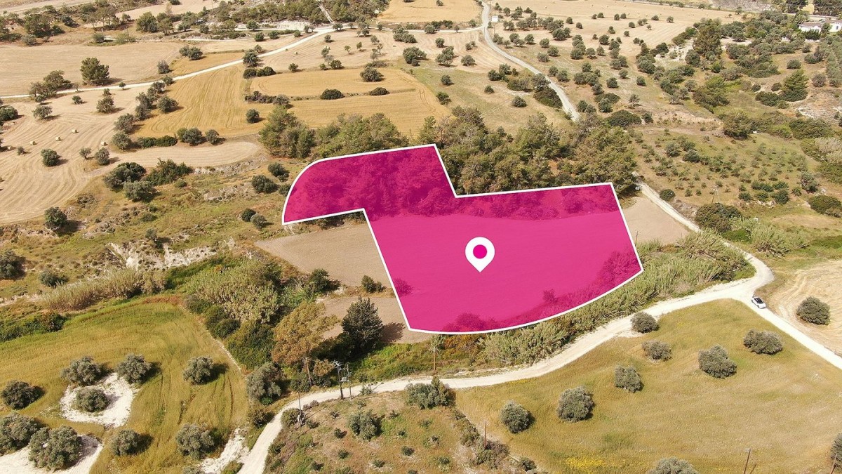 Field in Anglisides, Larnaca