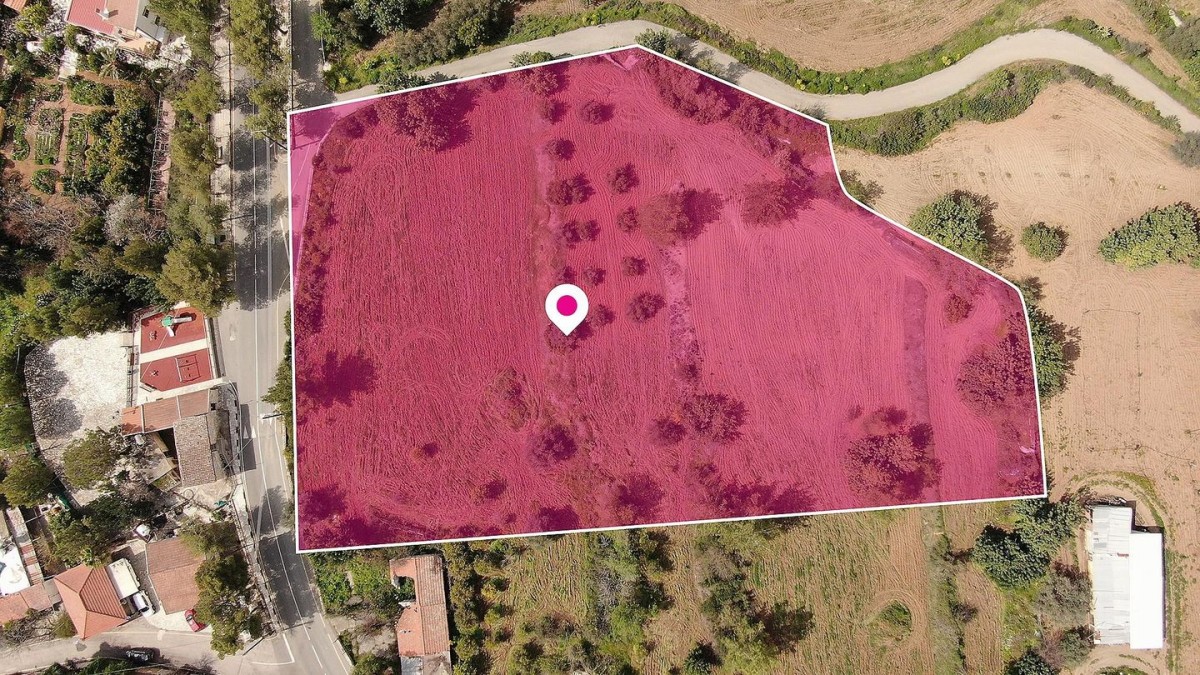 (Share) Field in Lageia, Larnaca