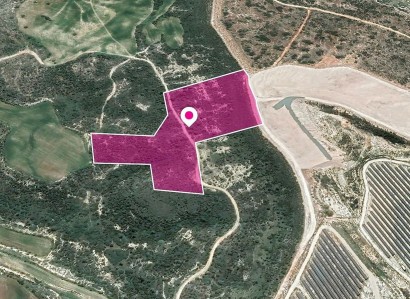 Choirokoitia, Larnaca Agricultural Field For Sale | WW29614
