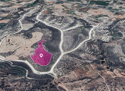 Anglisides, Larnaca Agricultural Field For Sale | WW29617