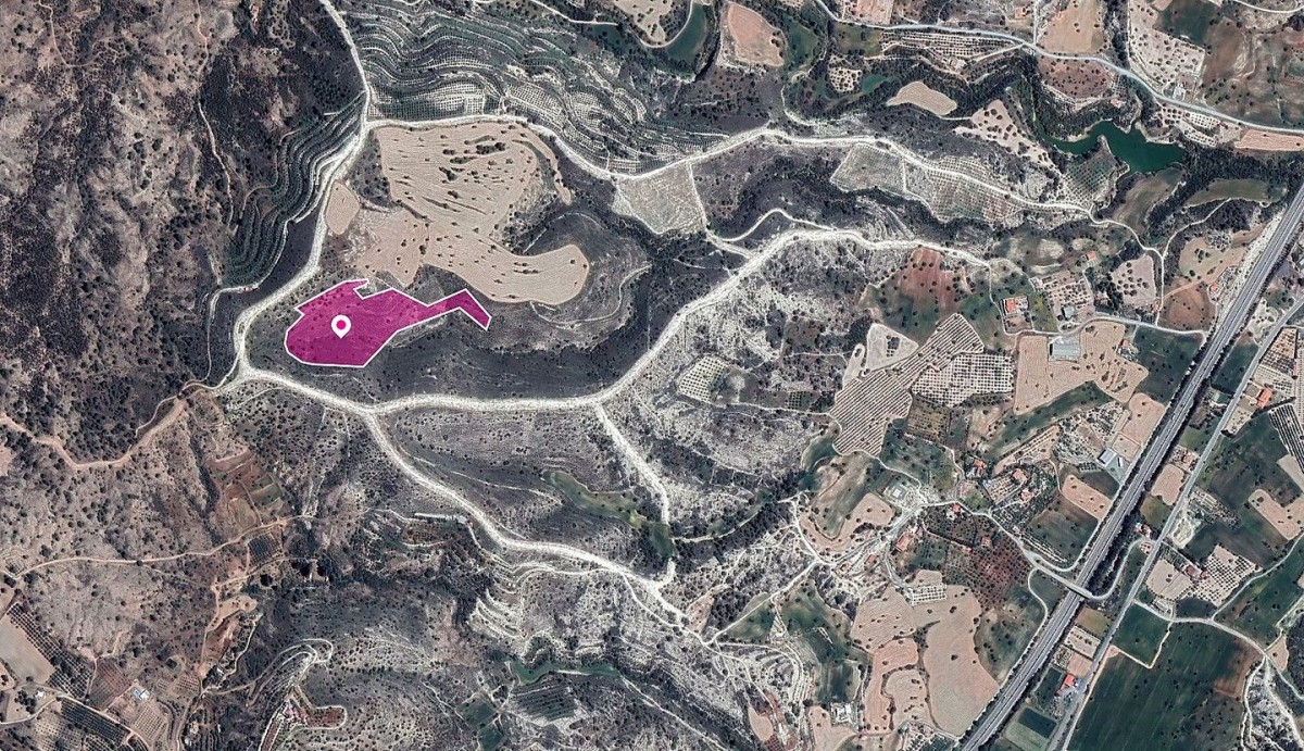 Field in Anglisides, Larnaca