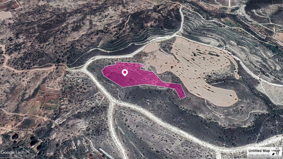 Field in Anglisides, Larnaca