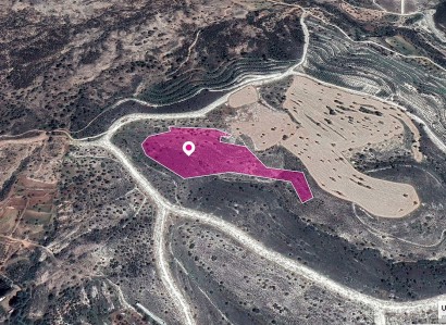 Anglisides, Larnaca Agricultural Field For Sale | WW29617