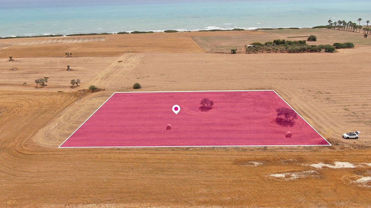 Mazotos, Larnaca Touristic Field For Sale | WW29619