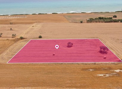 Mazotos, Larnaca Touristic Field For Sale | WW29619