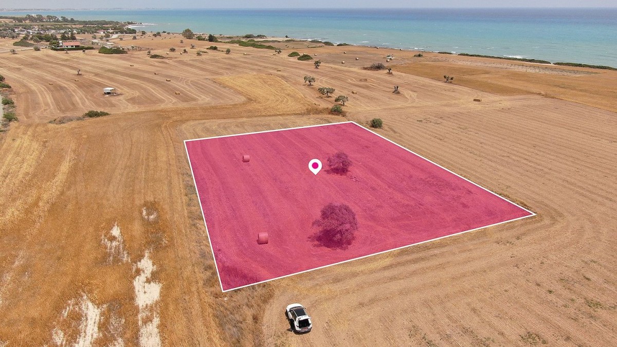 Touristic Field in Mazotos, Larnaca