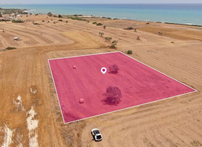 Mazotos, Larnaca Touristic Field For Sale | WW29619