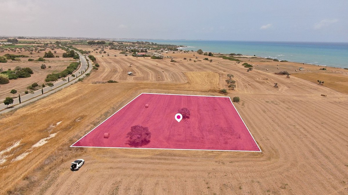 Touristic Field in Mazotos, Larnaca