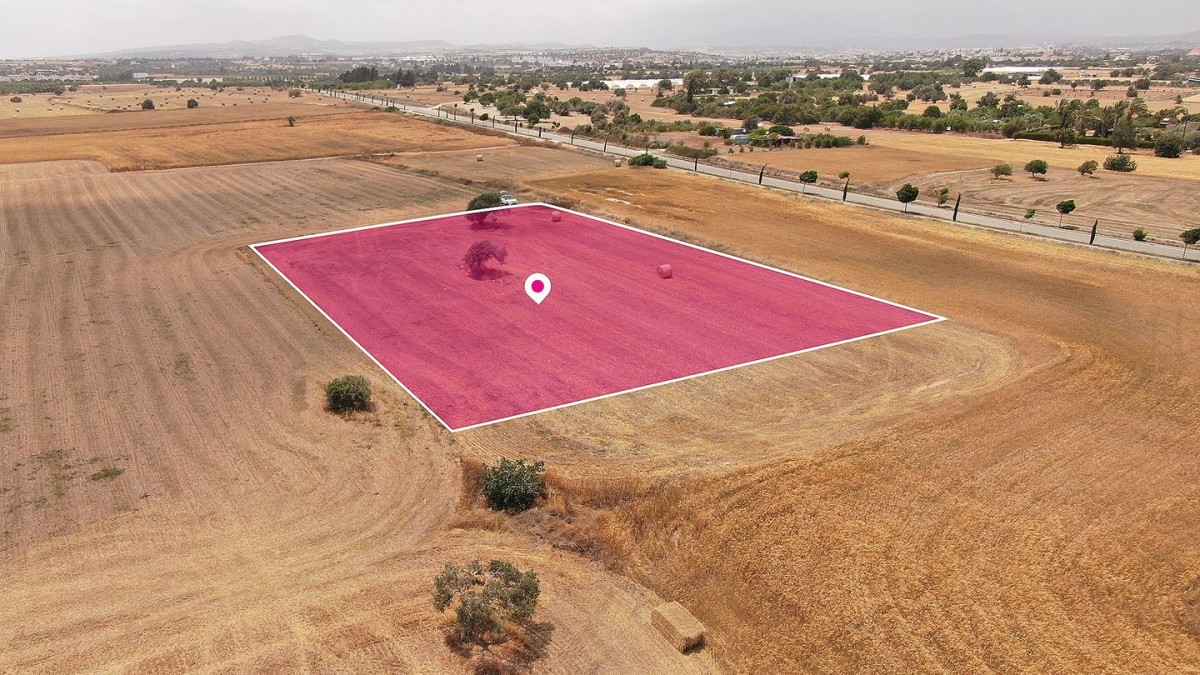 Touristic Field in Mazotos, Larnaca