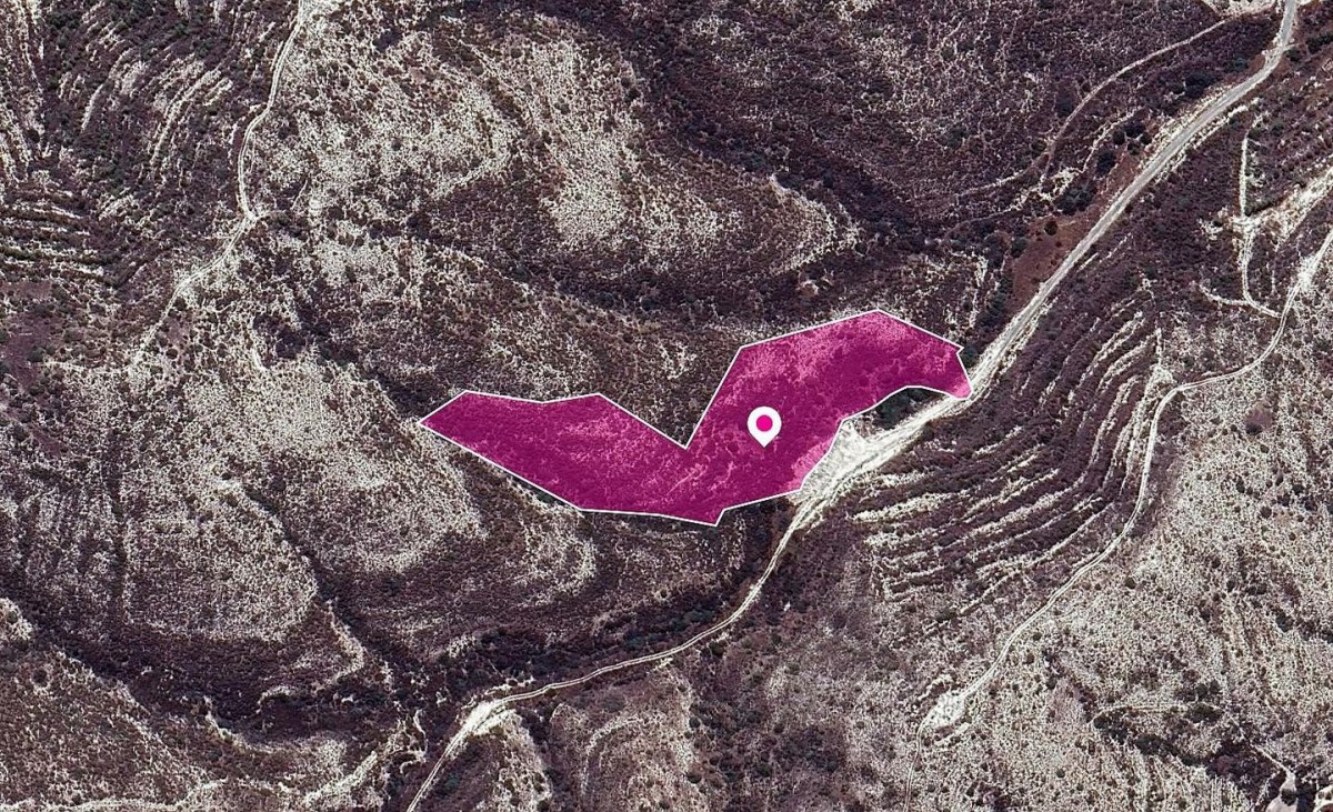 Skarinou, Larnaca Agricultural Field For Sale | WW29626