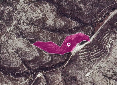 Skarinou, Larnaca Agricultural Field For Sale | WW29626