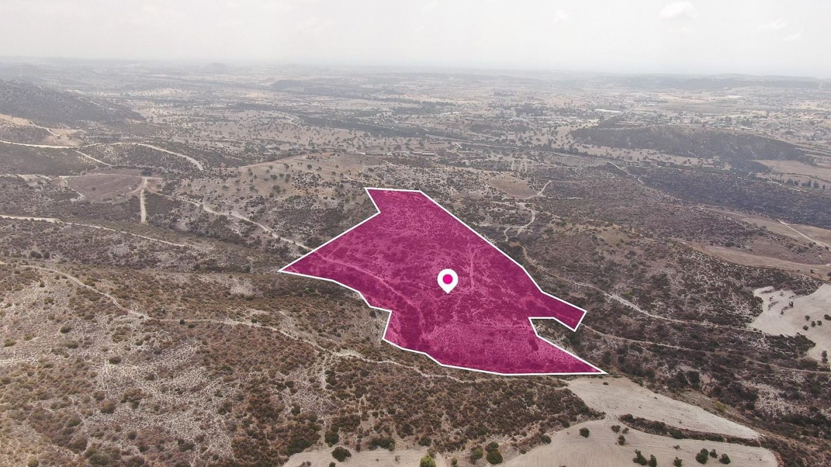 Skarinou, Larnaca Agricultural Field For Sale | WW29628