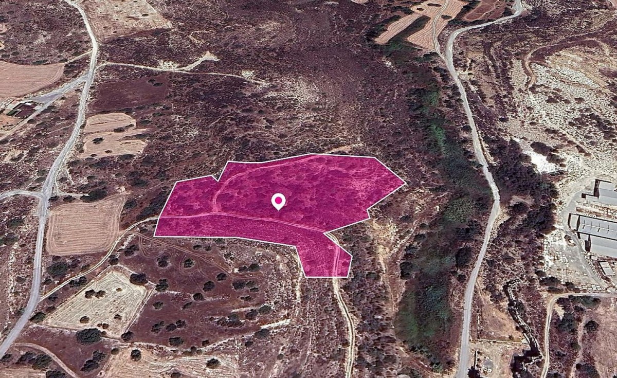 Tochni, Larnaca Agricultural Field For Sale | WW29632