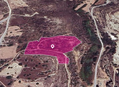 Tochni, Larnaca Agricultural Field For Sale | WW29632