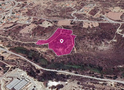 Tochni, Larnaca Agricultural Field For Sale | WW29632