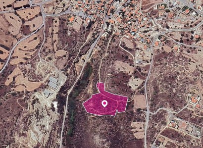Tochni, Larnaca Agricultural Field For Sale | WW29632
