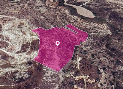 Skarinou, Larnaca Agricultural Field For Sale | WW29633