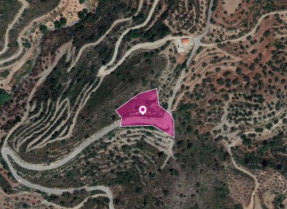 Vavatsinia, Larnaca Agricultural Field For Sale | WW29643