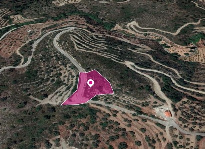 Vavatsinia, Larnaca Agricultural Field For Sale | WW29643