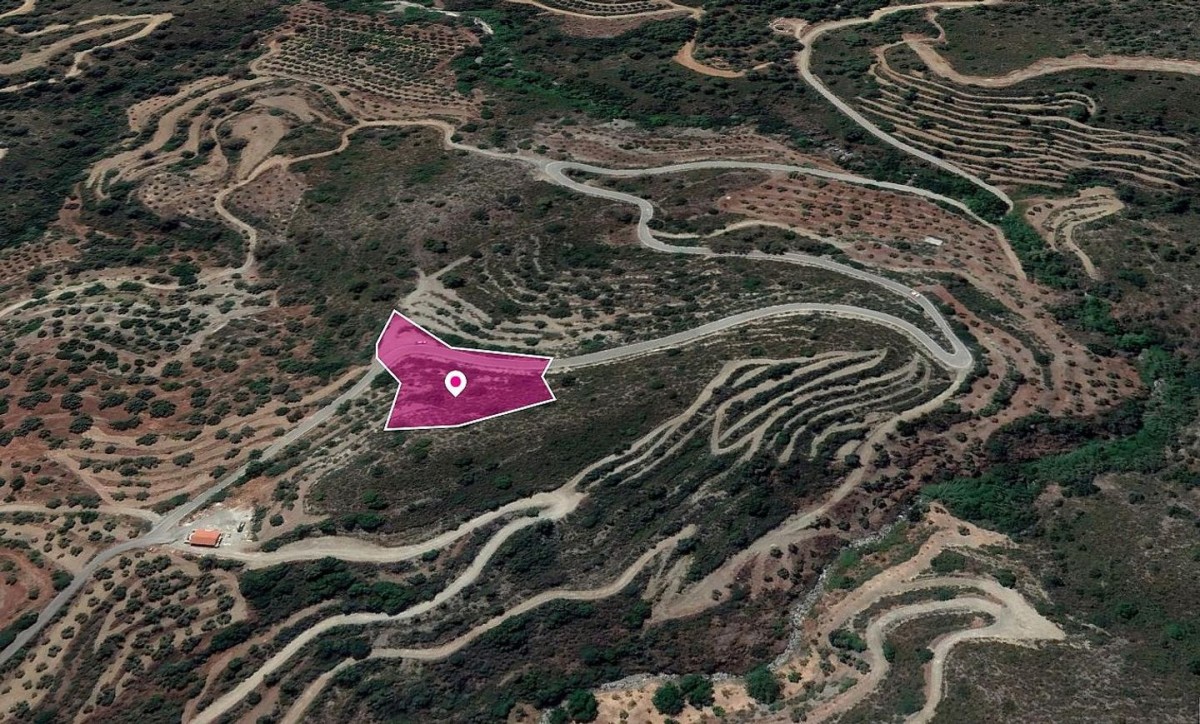 Share of a Field in Vavatsinia, Larnaca