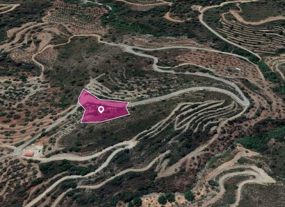 Vavatsinia, Larnaca Agricultural Field For Sale | WW29643
