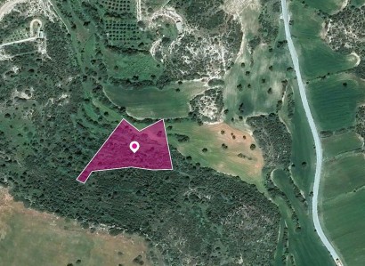 Ayios Theodoros Agricultural Field For Sale | WW29645