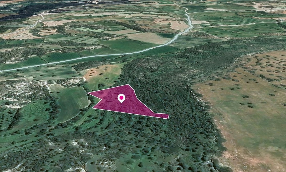 Field in Agios Theodoros, Larnaca