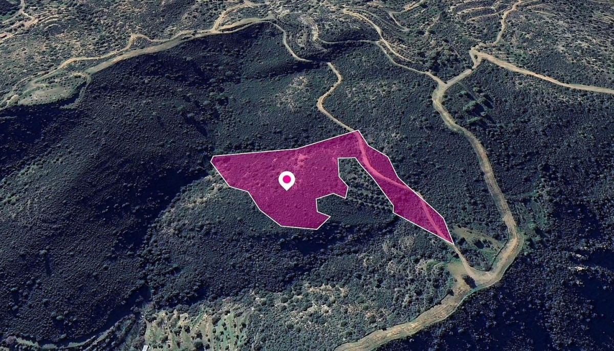 Lageia, Larnaca Agricultural Field For Sale | WW29647