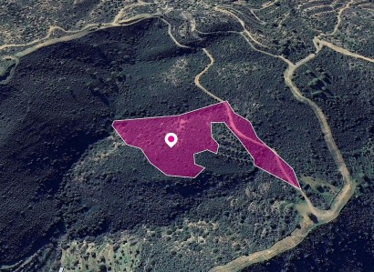 Lageia, Larnaca Agricultural Field For Sale | WW29647